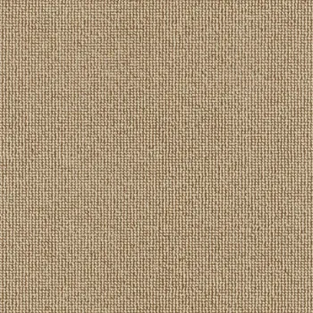 Preview: Vorwerk Rustica 7G04 beige Teppichboden – Draufsicht rechteckig